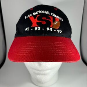 vintage 90s YSU National Champs Snapback Hat Youngstown State Penguins rare‎ cap